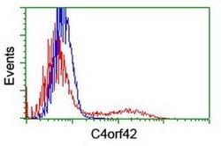 C4orf42 Monoclonal Antibody (OTI2C6), TrueMAB , OriGene 30 &mu;L; Unconjugated:Antibodies,