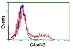 C4orf42 Mouse anti-Human, Clone: OTI4F2, lyophilized, TrueMAB 100 &mu;g;