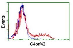 C4orf42 Monoclonal Antibody (OTI4F2), TrueMAB , OriGene:Antibodies:Primary