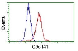 C9orf41 Monoclonal Antibody (OTI4A2), TrueMAB , OriGene 100 &mu;L; Unconjugated:Antibodies,