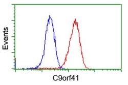 C9orf41 Monoclonal Antibody (OTI4A2), TrueMAB , OriGene 100 &mu;L; Unconjugated:Antibodies,