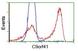 C9orf41 Mouse anti-Human, Clone: OTI1E8, lyophilized, TrueMAB 100 &mu;g;