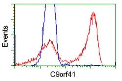C9orf41 Monoclonal Antibody (OTI1E8), TrueMAB , OriGene 100 &mu;L; Unconjugated:Antibodies,