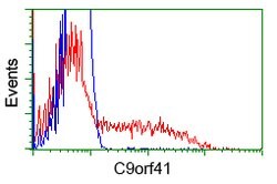 C9orf41 Mouse anti-Human, Clone: OTI4B7, lyophilized, TrueMAB 100 &mu;g;