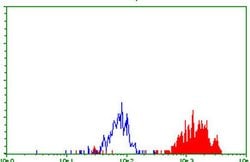 CA12 Monoclonal Antibody (OTI3F1), TrueMAB , OriGene 30 &mu;L; Unconjugated:Antibodies,