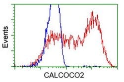 CALCOCO2 Mouse anti-Human, Clone: OTI4H5, liquid, TrueMAB 100 &mu;L; Unconjugated:Antibodies,