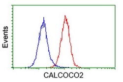 CALCOCO2 Mouse anti-Human, Clone: OTI4H5, liquid, TrueMAB 100 &mu;L; Unconjugated:Antibodies,