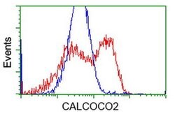 CALCOCO2 Monoclonal Antibody (OTI2D11), TrueMAB , OriGene 100 &mu;L; Unconjugated:Antibodies,
