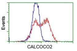 CALCOCO2 Monoclonal Antibody (OTI2C11), TrueMAB , OriGene 30 &mu;L; Unconjugated:Antibodies,