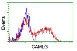 CAMLG Monoclonal Antibody (OTI1A3), TrueMAB , OriGene 100 &mu;L; Unconjugated:Antibodies,