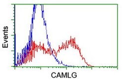 CAMLG Monoclonal Antibody (OTI1H3), TrueMAB , OriGene 30 &mu;L; Unconjugated:Antibodies,