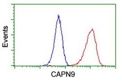 CAPN9 Monoclonal Antibody (OTI2G1), TrueMAB , OriGene 100 &mu;L; Unconjugated:Antibodies,