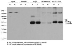 CAS9 Mouse anti-Bacteria, Clone: OTI6D9, lyophilized, TrueMAB 100 &mu;g;