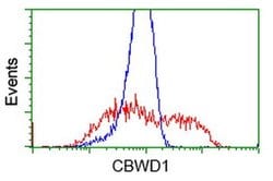 CBWD1 Monoclonal Antibody (OTI4D4), TrueMAB , OriGene 100 &mu;L; Unconjugated:Antibodies,