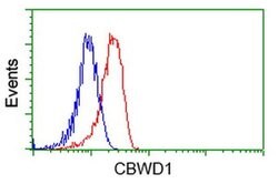 CBWD1 Monoclonal Antibody (OTI4D4), TrueMAB , OriGene 100 &mu;L; Unconjugated:Antibodies,