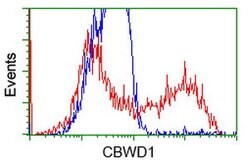 CBWD1 Mouse anti-Human, Clone: OTI3A11, lyophilized, TrueMAB 100 &mu;g;