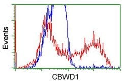 CBWD1 Monoclonal Antibody (OTI3A11), TrueMAB , OriGene 30 &mu;L; Unconjugated:Antibodies,