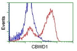 CBWD1 Monoclonal Antibody (OTI5H2), TrueMAB , OriGene 100 &mu;L; Unconjugated:Antibodies,