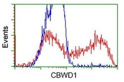 CBWD1 Monoclonal Antibody (OTI3F9), TrueMAB , OriGene 100 &mu;L; Unconjugated:Antibodies,