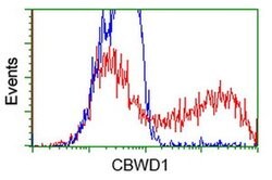 CBWD1 Mouse anti-Human, Clone: OTI9H5, liquid, TrueMAB 100 &mu;L; Unconjugated:Antibodies,