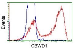 CBWD1 Monoclonal Antibody (OTI1B3), TrueMAB , OriGene 100 &mu;L; Unconjugated:Antibodies,