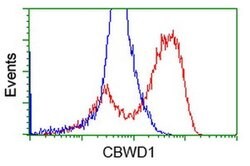 CBWD1 Monoclonal Antibody (OTI9B8), TrueMAB , OriGene 30 &mu;L; Unconjugated:Antibodies,