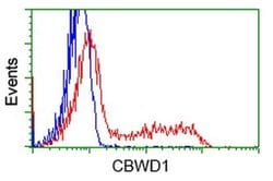 CBWD1 Monoclonal Antibody (OTI4E8), TrueMAB , OriGene 100 &mu;L; Unconjugated:Antibodies,