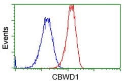 CBWD1 Monoclonal Antibody (OTI4E8), TrueMAB , OriGene 100 &mu;L; Unconjugated:Antibodies,