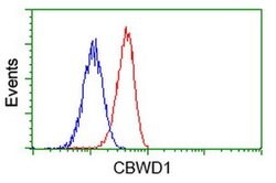 CBWD1 Monoclonal Antibody (OTI4E8), TrueMAB , OriGene 100 &mu;L; Unconjugated:Antibodies,