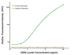 CBX8 Mouse anti-Human, Clone: OTI2C8, liquid, TrueMAB 100 &mu;g; Unconjugated:Antibodies,