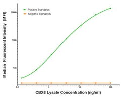 CBX8 Mouse anti-Human, Clone: OTI2C8, liquid, TrueMAB 100 &mu;g; Unconjugated:Antibodies,