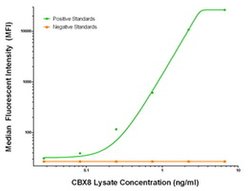 CBX8 Mouse anti-Human, Clone: OTI3A11, liquid, TrueMAB 100 &mu;g; Unconjugated:Antibodies,