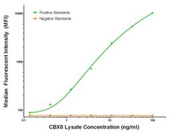 CBX8 Mouse anti-Human, Biotin, Clone: OTI2A5, liquid, TrueMAB 50 &mu;g;