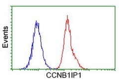 CCNB1IP1 Mouse anti-Human, Clone: OTI4H3, liquid, TrueMAB 30 &mu;L; Unconjugated:Antibodies,