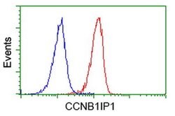 CCNB1IP1 Mouse anti-Human, Clone: OTI4H3, liquid, TrueMAB 30 &mu;L; Unconjugated:Antibodies,