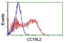 CCT8L2 Monoclonal Antibody (OTI4B10), TrueMAB , OriGene 100 &mu;L; Unconjugated:Antibodies,
