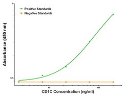 CD1C Mouse anti-Human, Clone: OTI5A8, liquid, TrueMAB 100 &mu;g; Unconjugated:Antibodies,