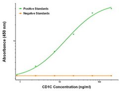 CD1C Mouse anti-Human, Biotin, Clone: OTI2F4, liquid, TrueMAB 50 &mu;g;