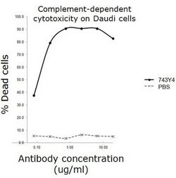 CD20 (MS4A1) Mouse anti-Human, Clone: 743Y4, liquid, TrueMAB 100 &mu;L;