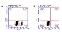 CD20 Mouse anti-Human, Clone: L26, Bethyl Laboratories 100 &mu;L; Unconjugated:Antibodies,