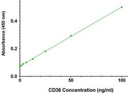 CD36 Mouse anti-Human, Clone: OTI3F4, liquid, TrueMAB 100 &mu;g; Unconjugated:Antibodies,