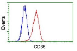 CD36 Mouse anti-Human, Clone: OTI4H7, lyophilized, TrueMAB 100 &mu;g; Unconjugated:Antibodies,