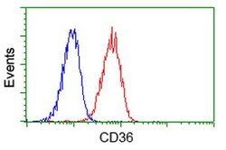 CD36 Mouse anti-Human, Clone: OTI4H7, lyophilized, TrueMAB 100 &mu;g; Unconjugated:Antibodies,