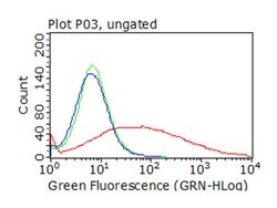 CD36 Monoclonal Antibody (OTI6A5), TrueMAB , OriGene 30 &mu;L; Unconjugated:Antibodies,