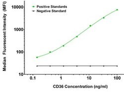 CD36 Mouse anti-Human, Clone: OTI3F4, liquid, TrueMAB 100 &mu;g; Unconjugated:Antibodies,