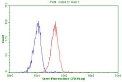 CD4 Mouse anti-Human, Rat, Clone: OTI18E3, TrueMAB , Origene 30 &mu;L;