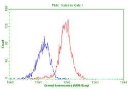 CD44 Mouse anti-Human, Clone: OTI1E3, lyophilized, TrueMAB 100 &mu;g; Unconjugated:Antibodies,