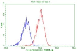 CD44 Monoclonal Antibody (OTI1C8), TrueMAB , OriGene 100 &mu;L; Unconjugated:Antibodies,