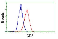 CD5 Monoclonal Antibody (OTI7A7), TrueMAB , OriGene 100 &mu;L; Unconjugated:Antibodies,