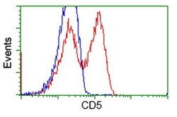 CD5 Monoclonal Antibody (OTI2B8), TrueMAB , OriGene 100 &mu;L; Unconjugated:Antibodies,